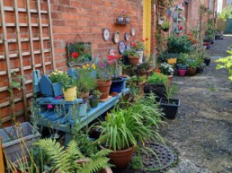 Belfast alley way with planted flowers